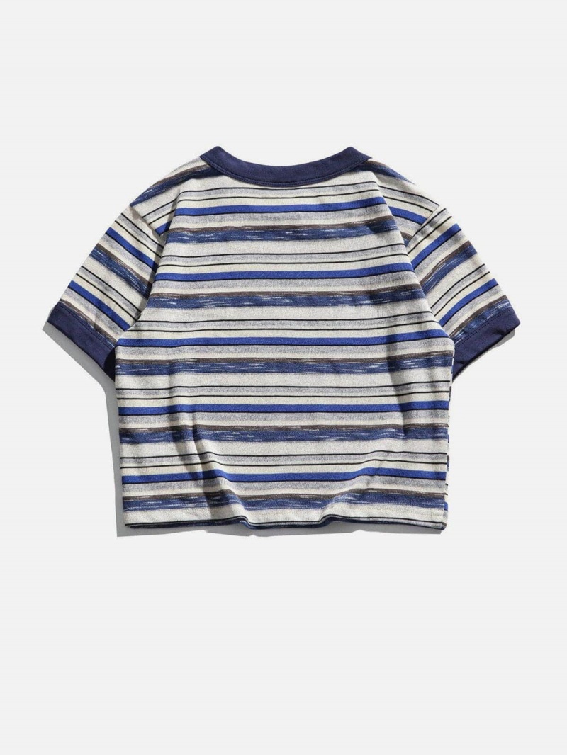 T Shirts Aelfric Eden Explorer Stripe Crop Tee Bleu | FEE-29573008